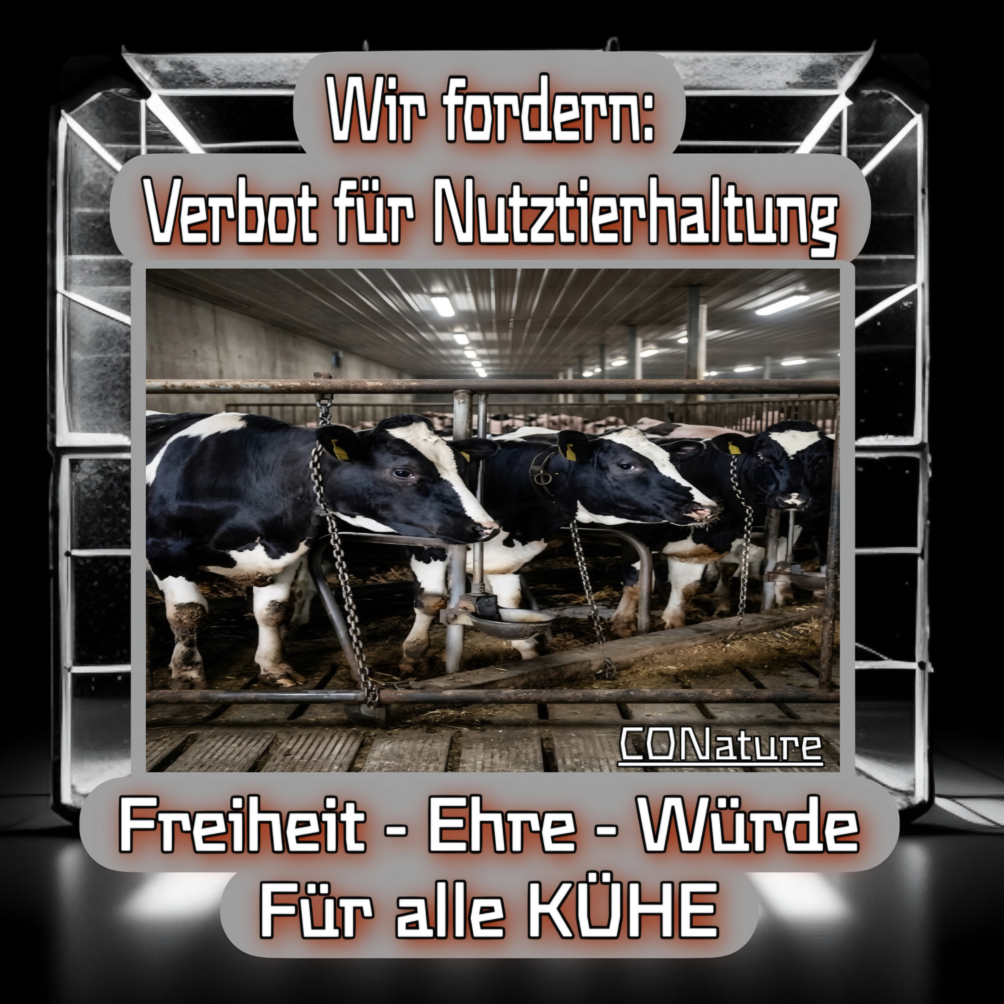 Kuh — Die Landschaftspflegerin