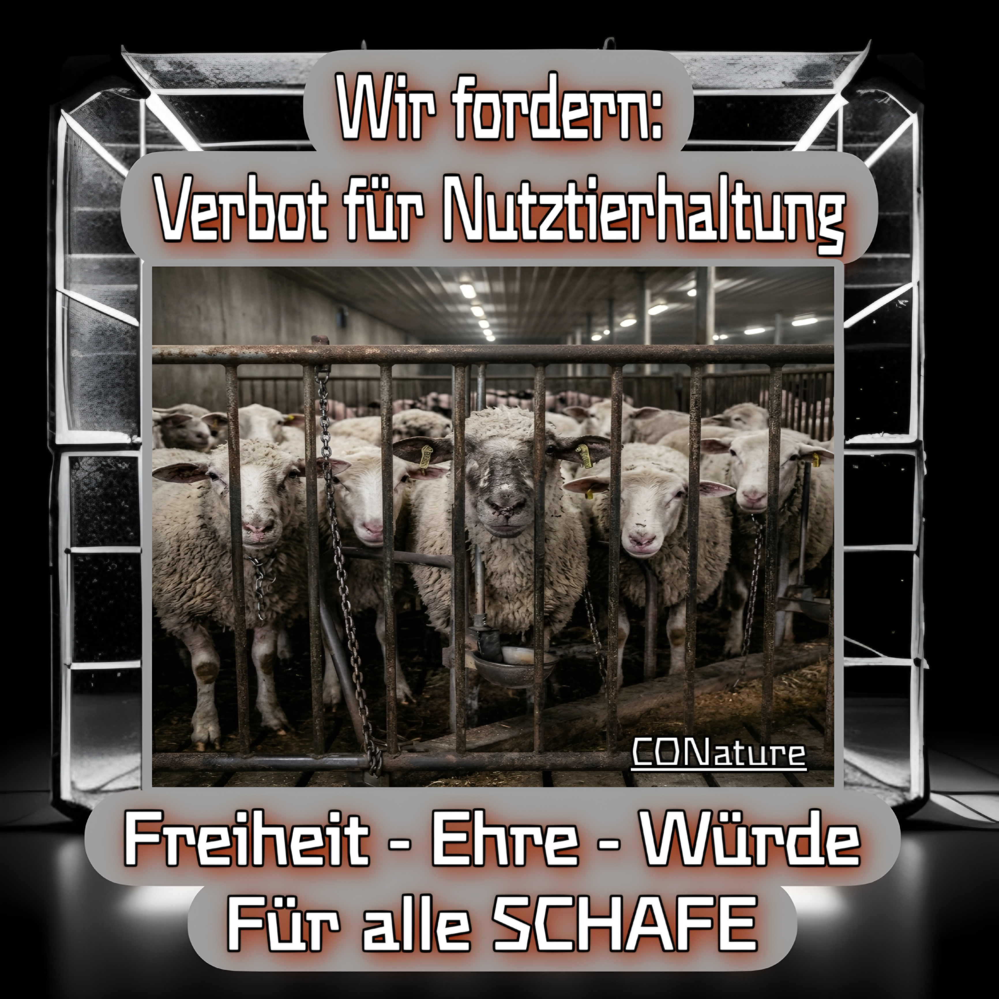 Schaf — Die Rasenpflegerin