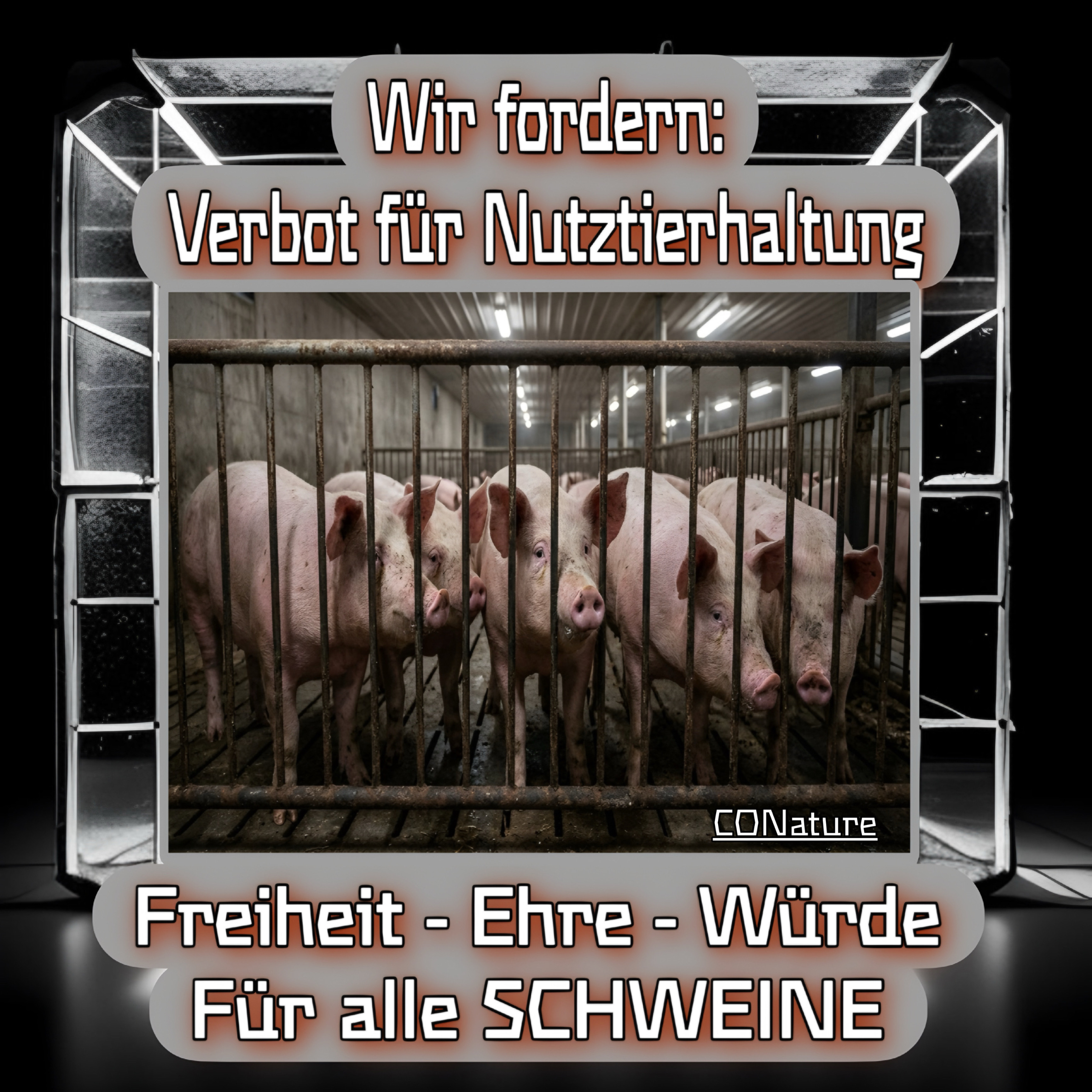 Schwein — Der Bodenumpflüger